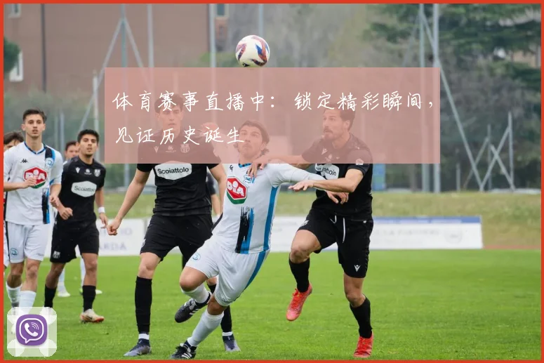 体育赛事直播中：锁定精彩瞬间，见证历史诞生