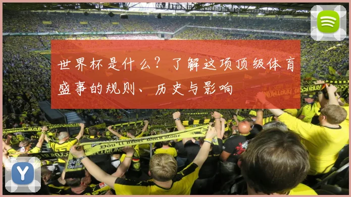 世界杯是什么？了解这项顶级体育盛事的规则、历史与影响
